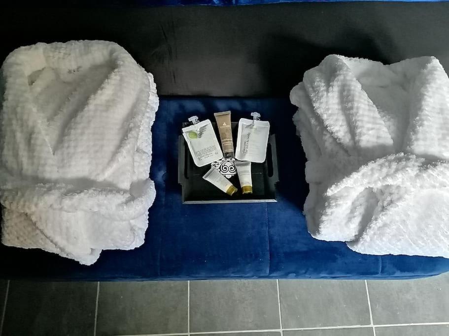 Appartement Avec Sauna Et Balneo Privatifs -Troyes Centre Zewnętrze zdjęcie